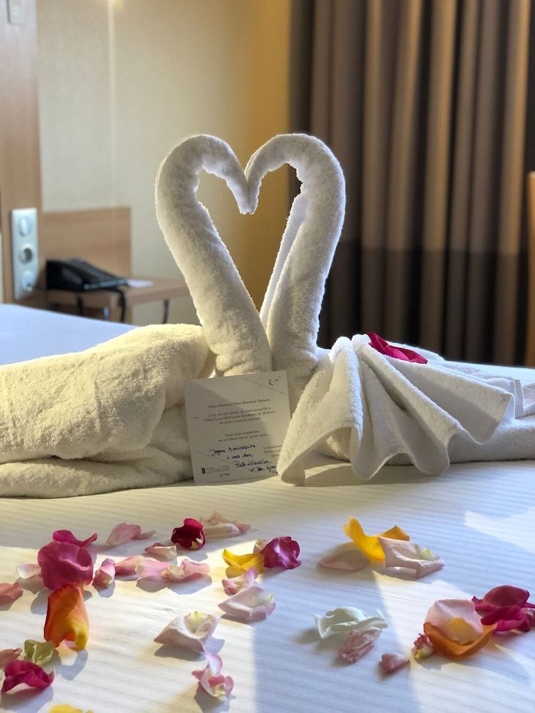 Hôtel Lyon Métropole & Spa Classic Double Room 4