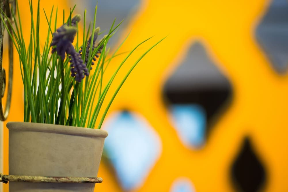 undefined Sun City Hotel 9