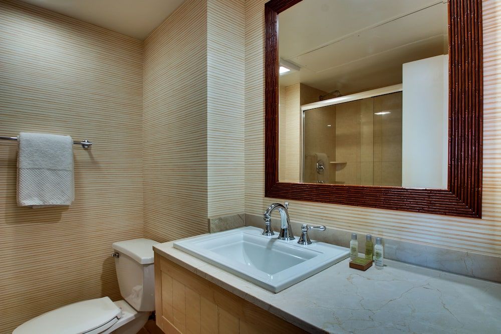 Tropicana Las Vegas - a DoubleTree by Hilton Hotel Room, 1 King Bed, Balcony, Garden View 5