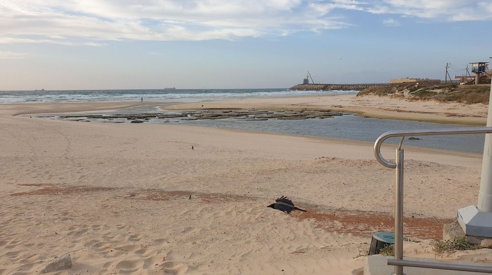 Spat Ashdod Classic Suite, 1 Bedroom, Sea View 10