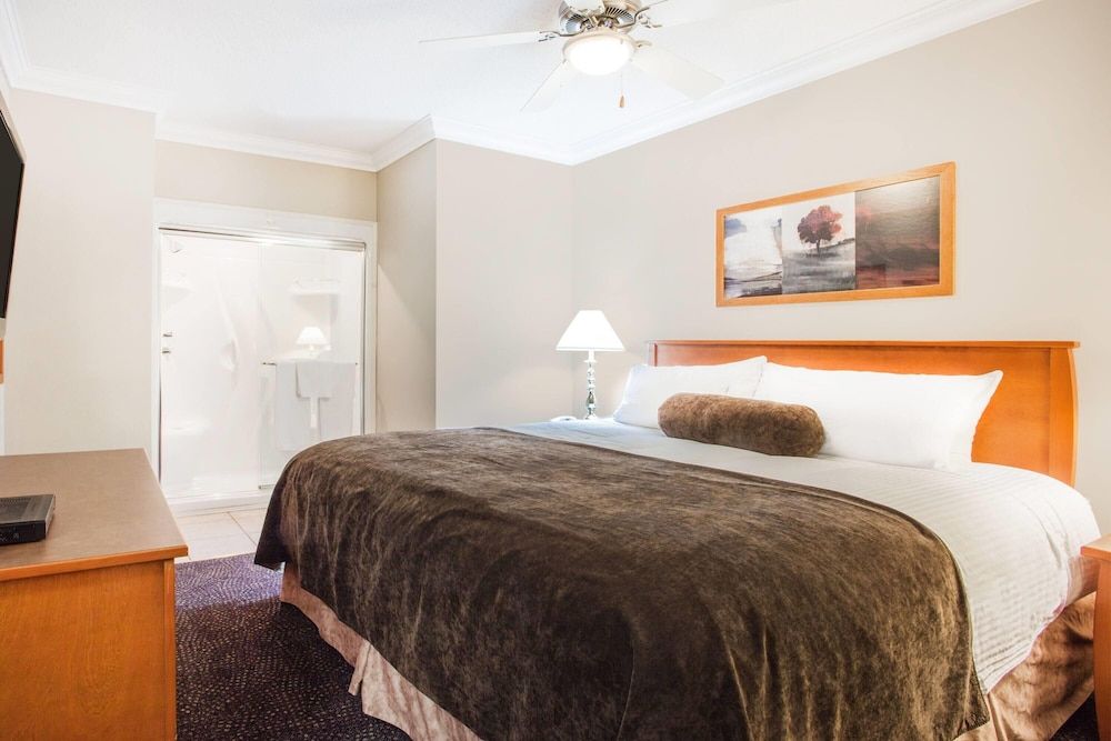 Kitchenette Room, 1 King Bed