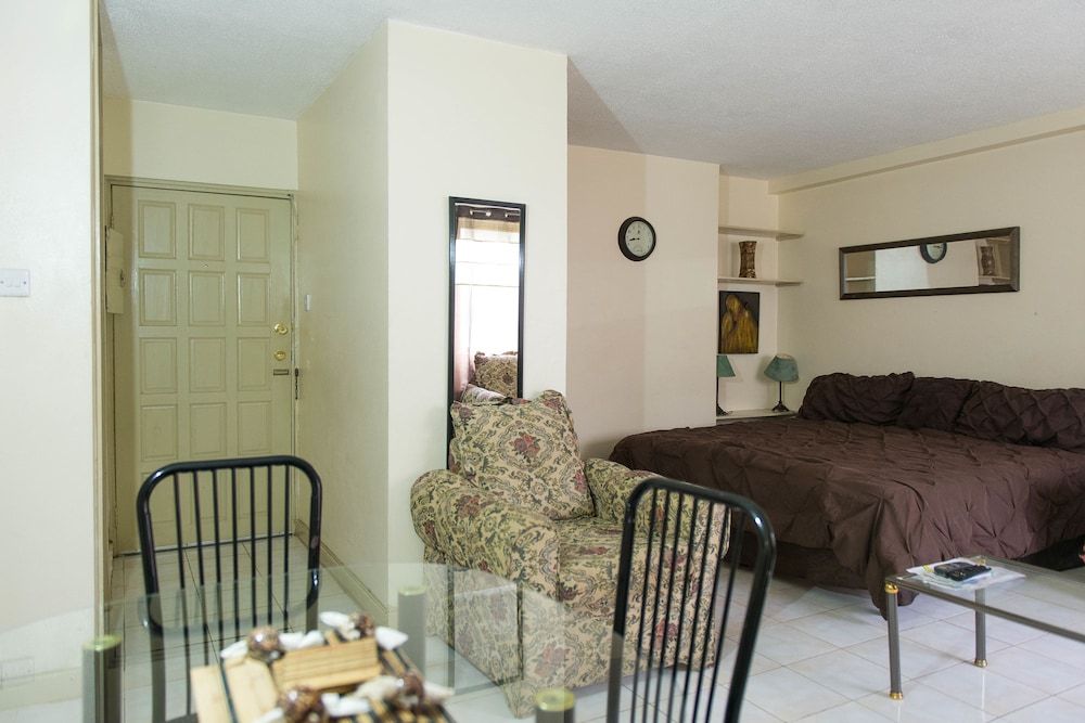 Turtle Towers Apartments Economy Studio, 1 King Bed, Accessible, Ground Floor 4