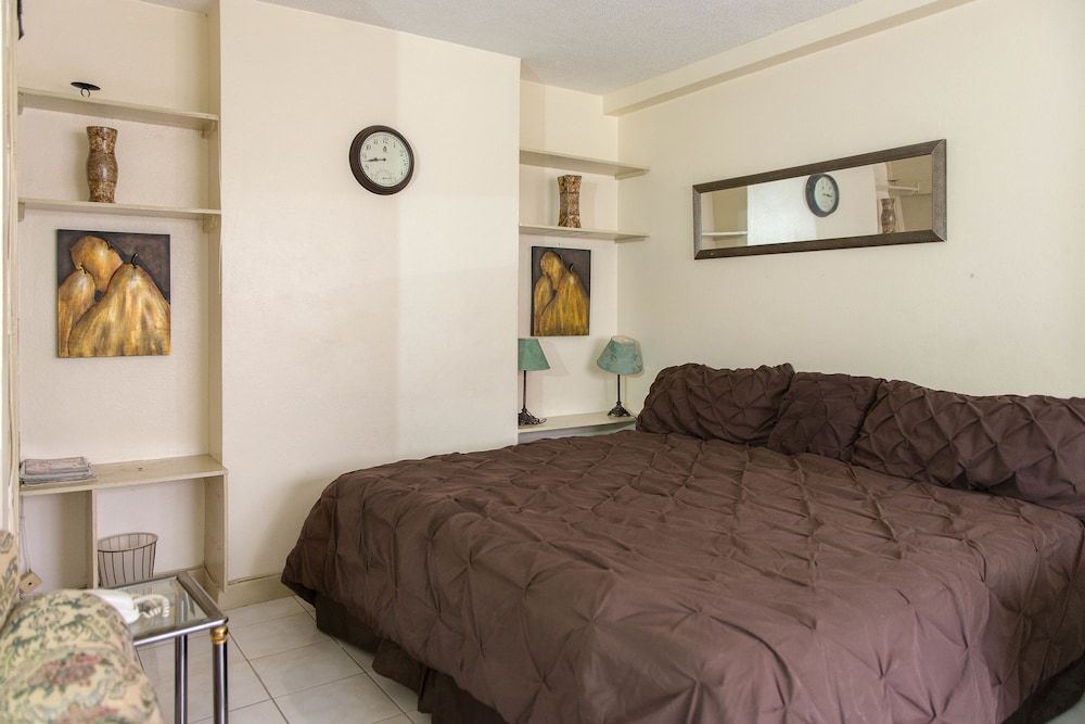 Turtle Towers Apartments Economy Studio, 1 King Bed, Accessible, Ground Floor