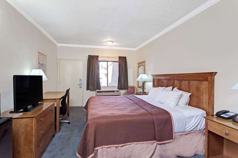 Suite, 1 King Bed