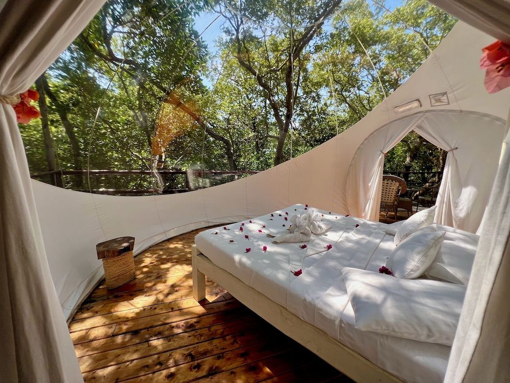 Rock and Sea Resort Panoramic Tent, 1 King Bed, Overwater 4