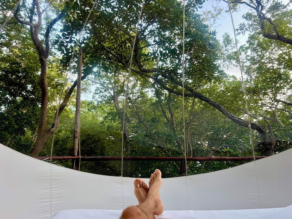 Rock and Sea Resort Panoramic Tent, 1 King Bed, Overwater 10