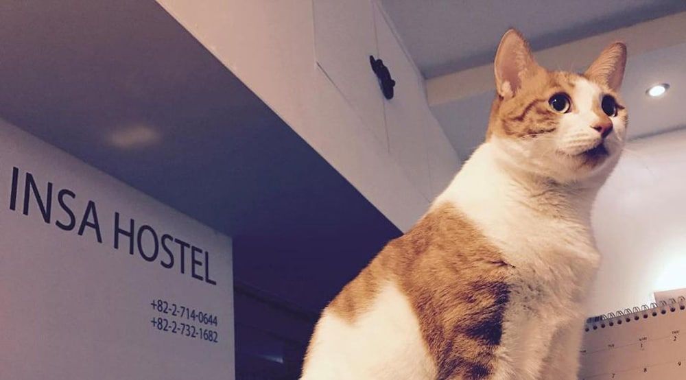 undefined INSADONG hostel 8