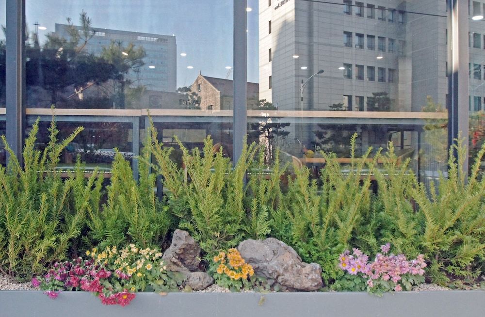 undefined Ehwa in Myeongdong 10