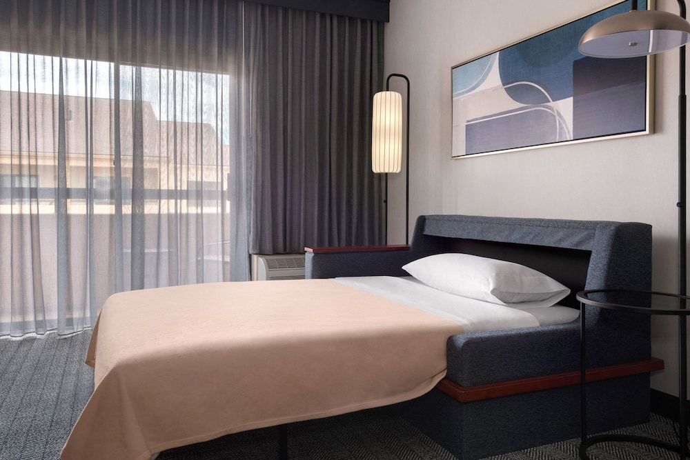 Room, 1 King Bed with Sofa bed, Non Smoking (Mobility Accessible, Roll-In Shower)