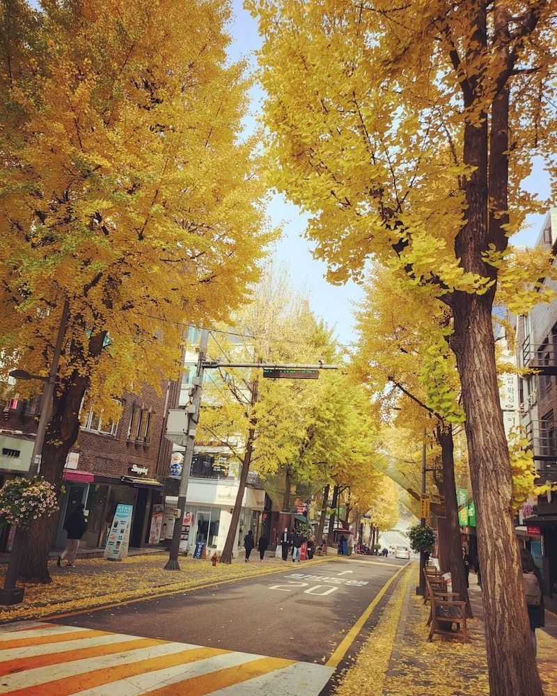 undefined Philstay Ehwa Boutique 10