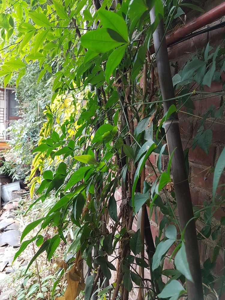 undefined Gongsimga Hanok Guesthouse 9