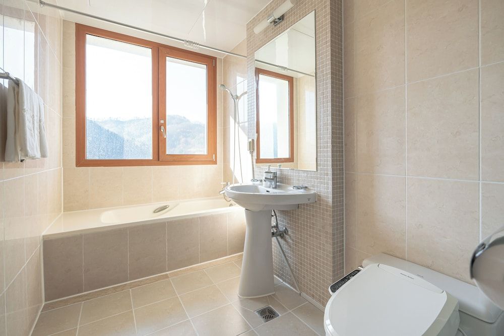 Elysian Gangchon Resort Deluxe Room (Cooking Not Allowed) 4