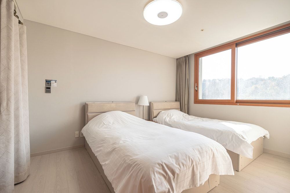 Elysian Gangchon Resort Deluxe Room (Cooking Not Allowed) 2