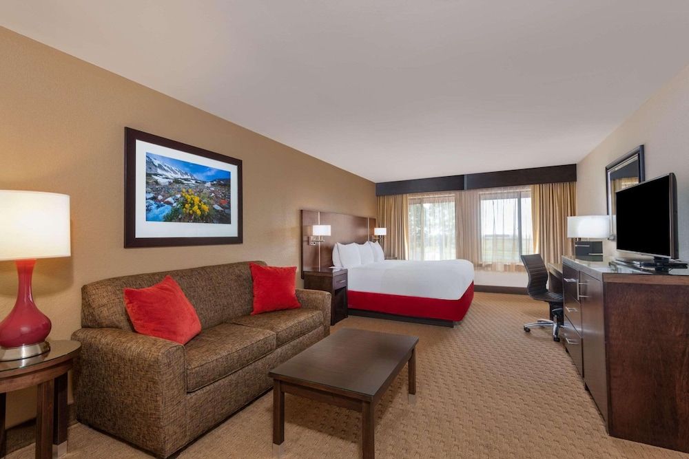 Room, 1 King Bed, Non Smoking