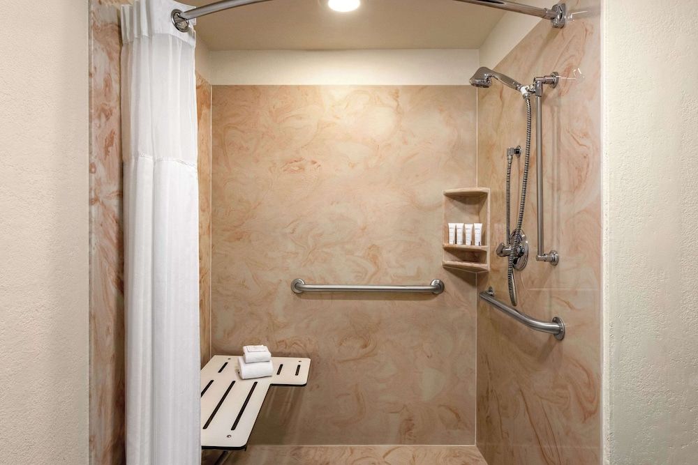 Room, 1 King Bed, Accessible, Non Smoking (Roll-in Shower)