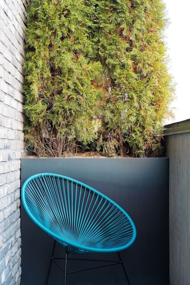 Hotel Museo Suite, Terrace (randomly assign indoor bathtub or not) 5