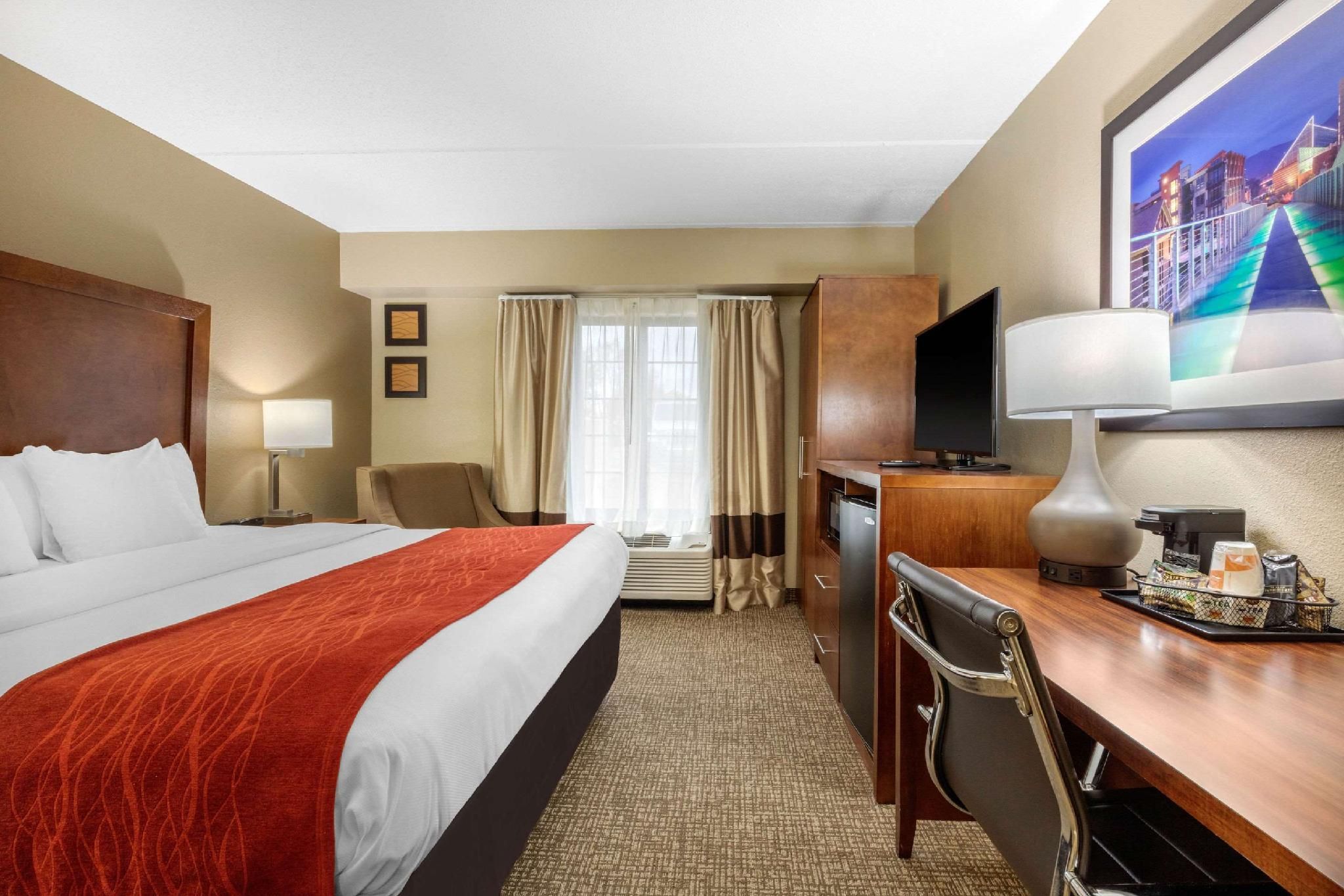 1 King Bed, Nonsmoking, Accessible