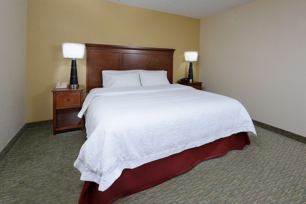 Room, 1 King Bed, Accessible, Bathtub (Non-smoking)