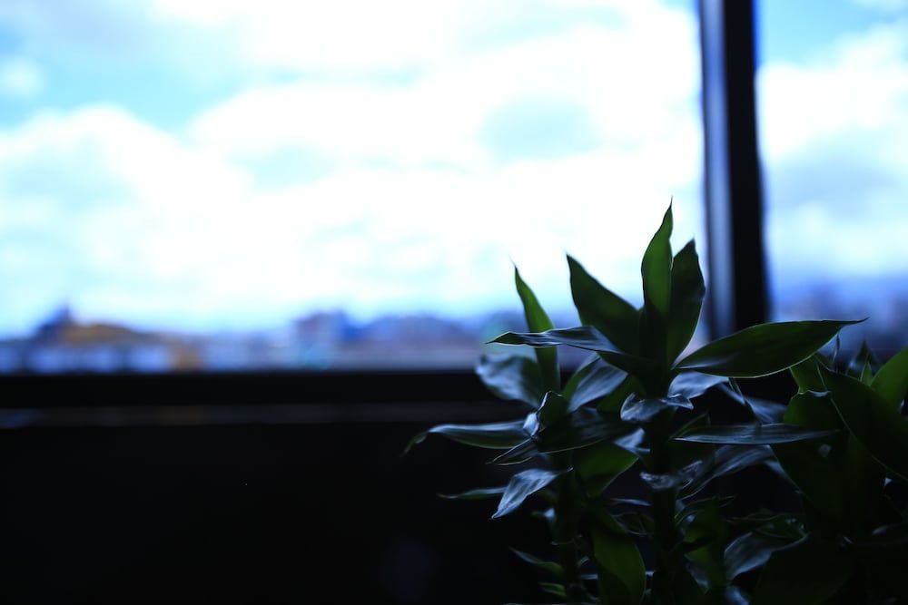 undefined Line Hotel 6