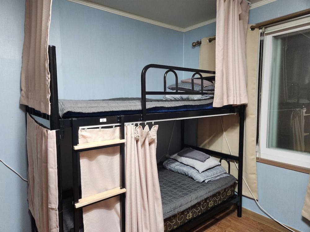 undefined Birdsnest Hostel Hongdae 2