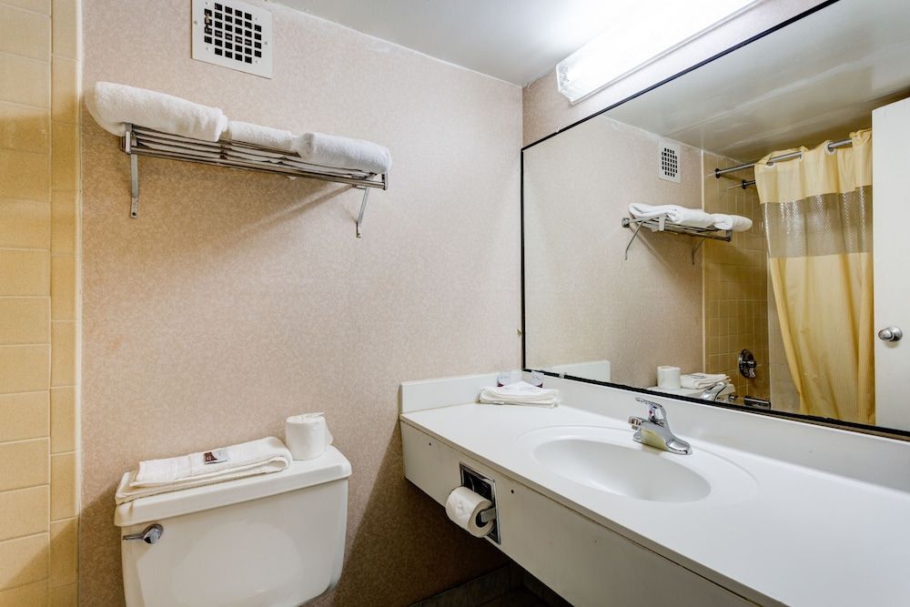 University Hotel & Suites Room, 1 Queen Bed, Non Smoking 4