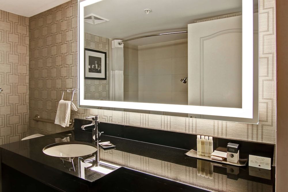 DoubleTree by Hilton Hotel Toronto Downtown Room, 1 Queen Bed (Roll-in Shower) 6