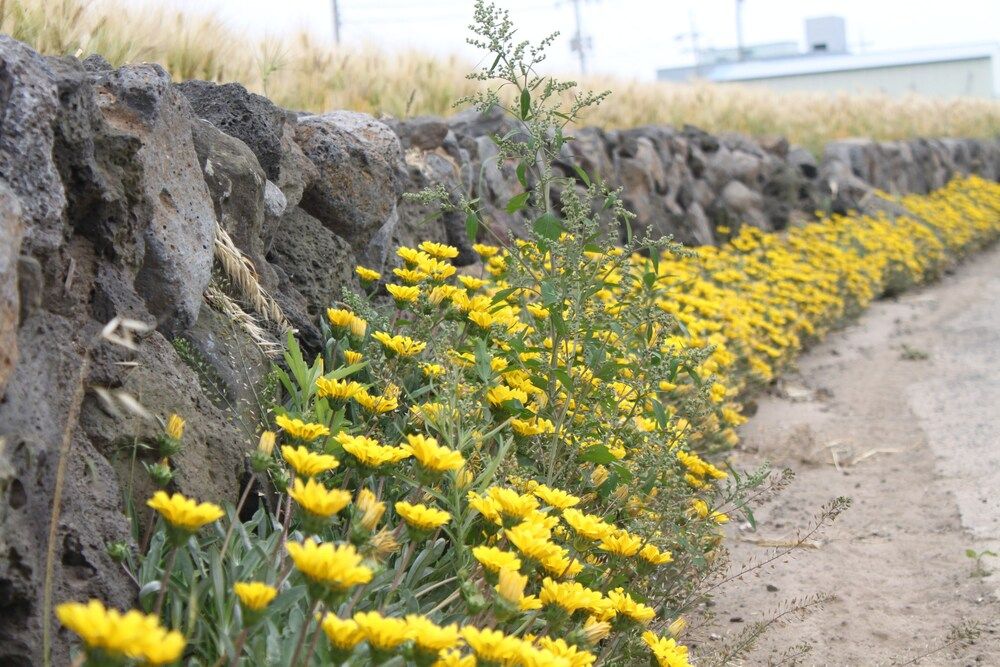 undefined Gillime Pension 9