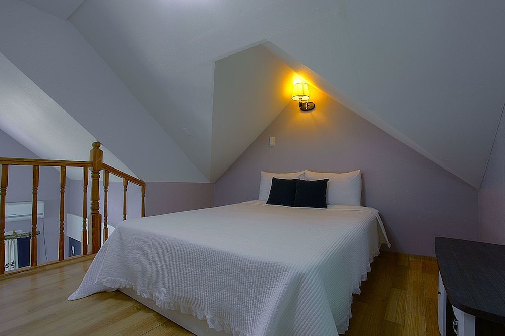 Forest of Color Pension Black Tree 3