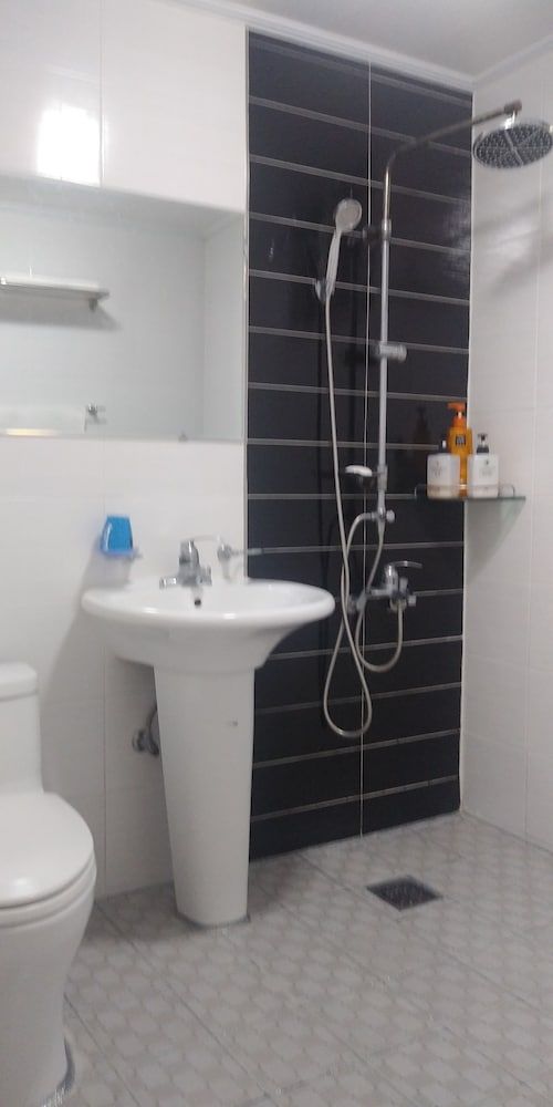 Forest of Color Pension Black Tree 4