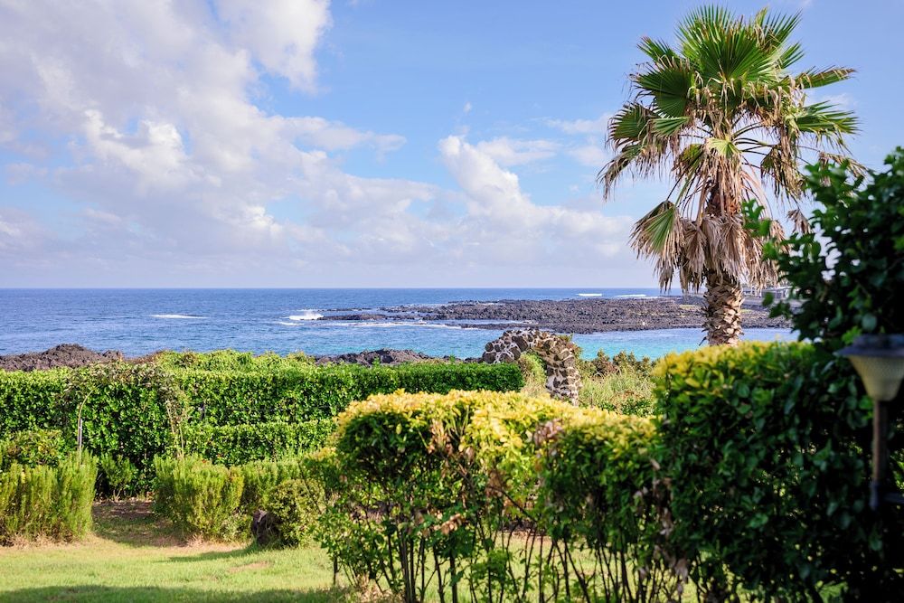 Jeju Turning Point Deluxe Duplex 11