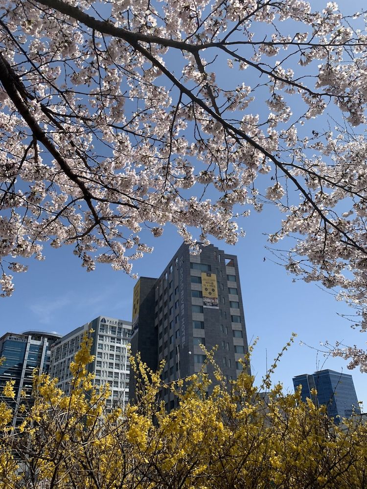 undefined Gold River Hotel 2