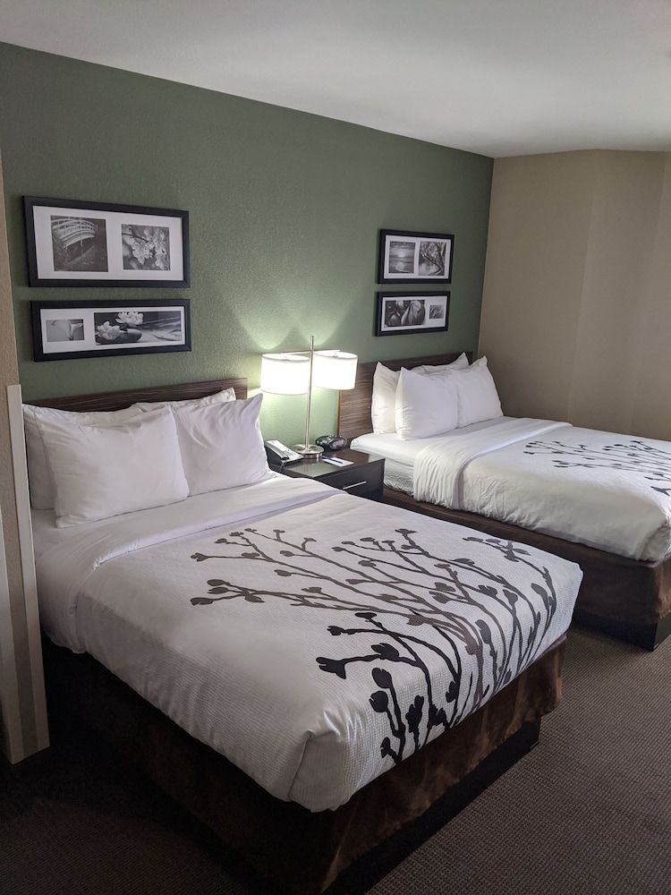 Standard Double Room, 2 Double Beds, Non Smoking