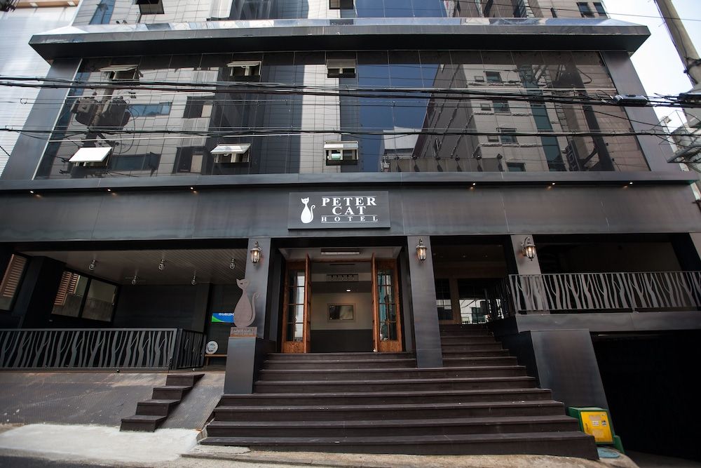 undefined Petercat Hotel Sinchon Hongdae 4