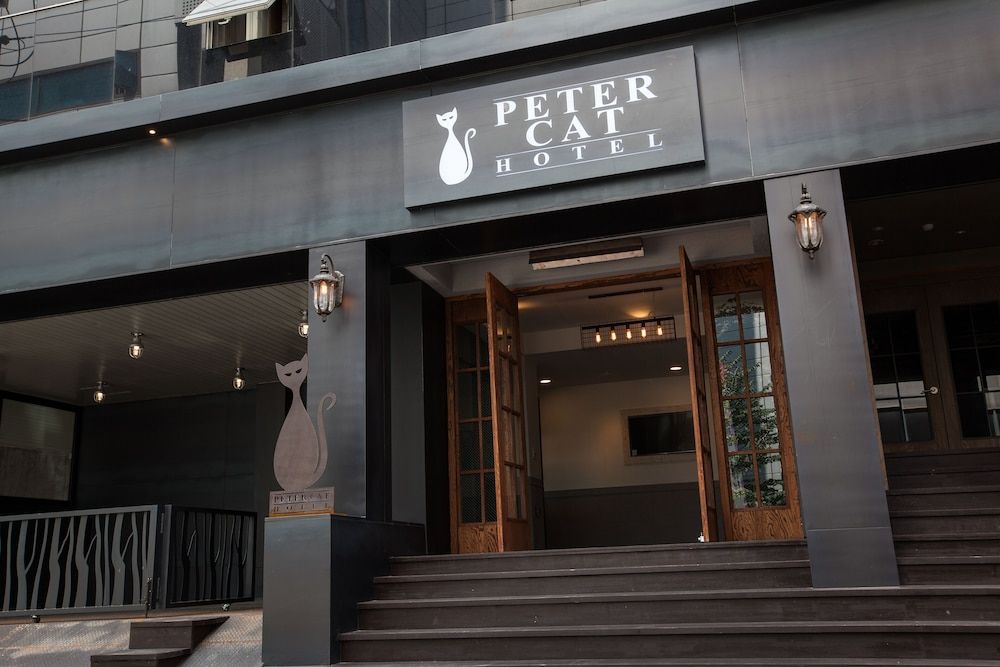 undefined Petercat Hotel Sinchon Hongdae 5