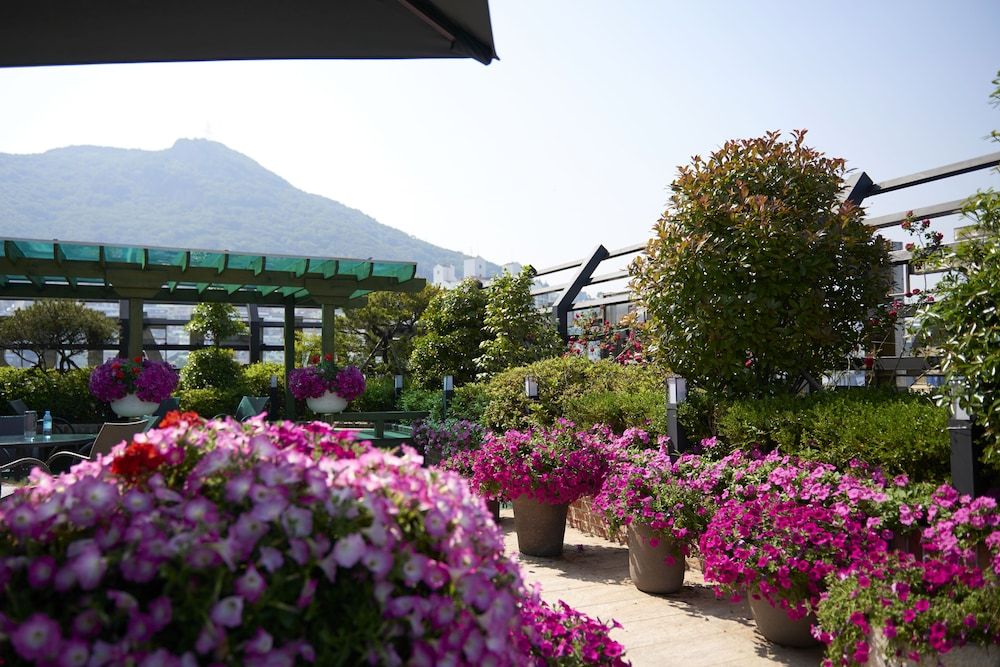 undefined Busan Beach Hotel Busan Songdo 3