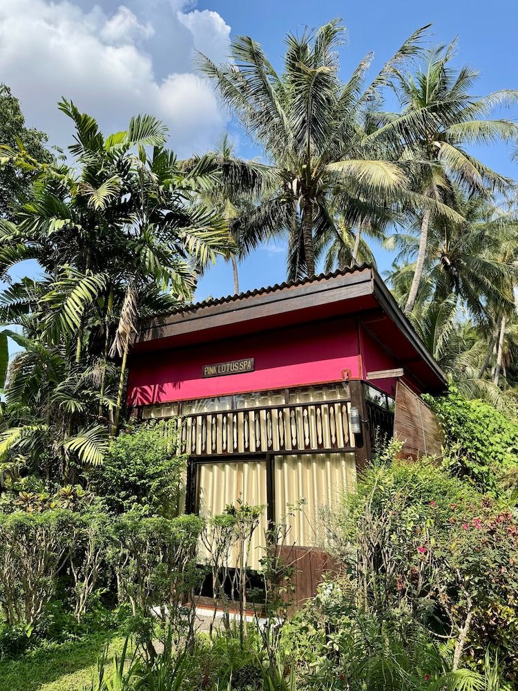 undefined Parasol Blanc Luang Prabang 3