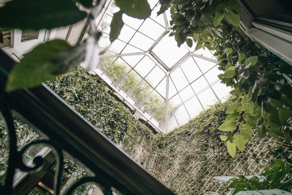 undefined Nima Local House Hotel & Spa 6