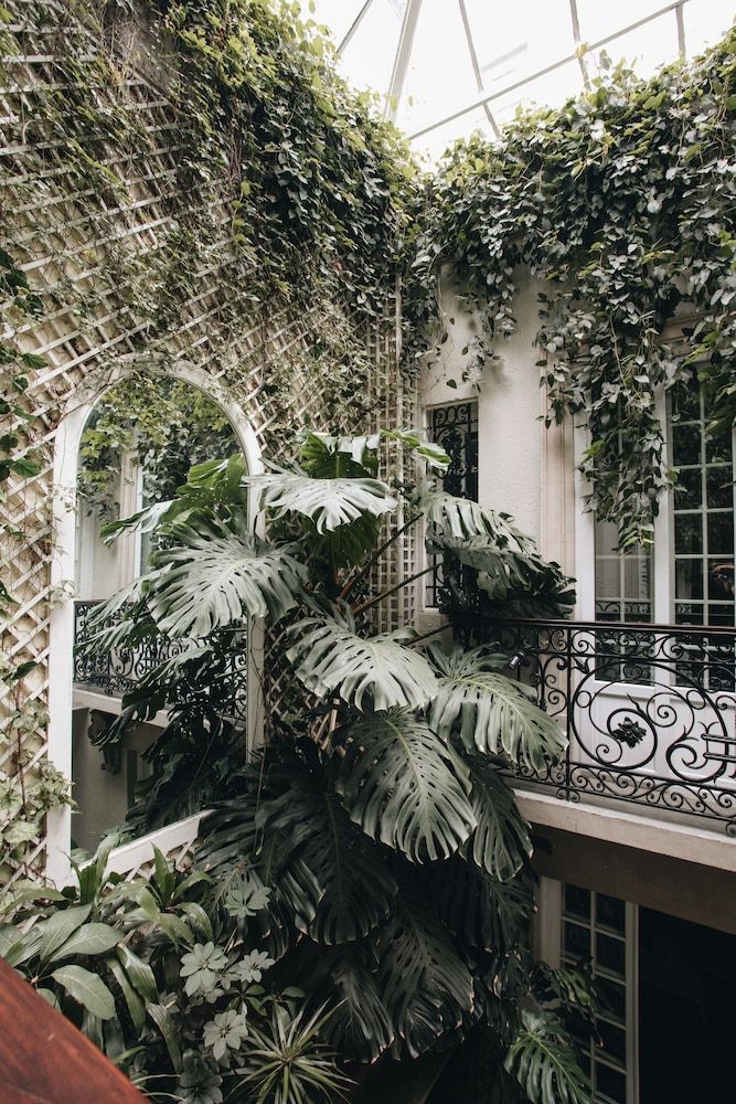 undefined Nima Local House Hotel & Spa 5