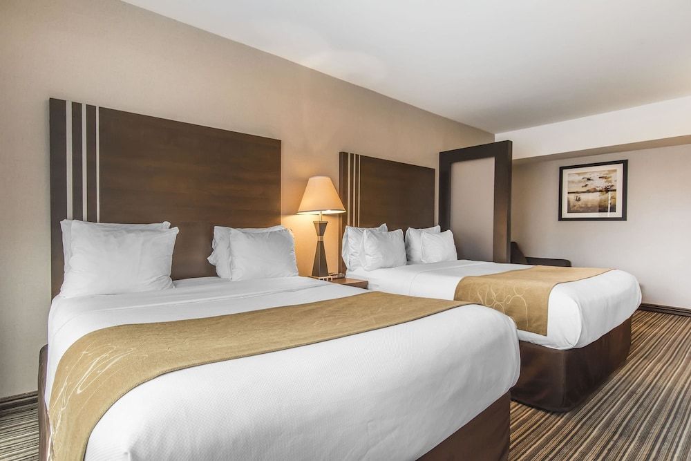 Comfort Suites Downtown Standard Room, 2 Queen beds with sofabed 4