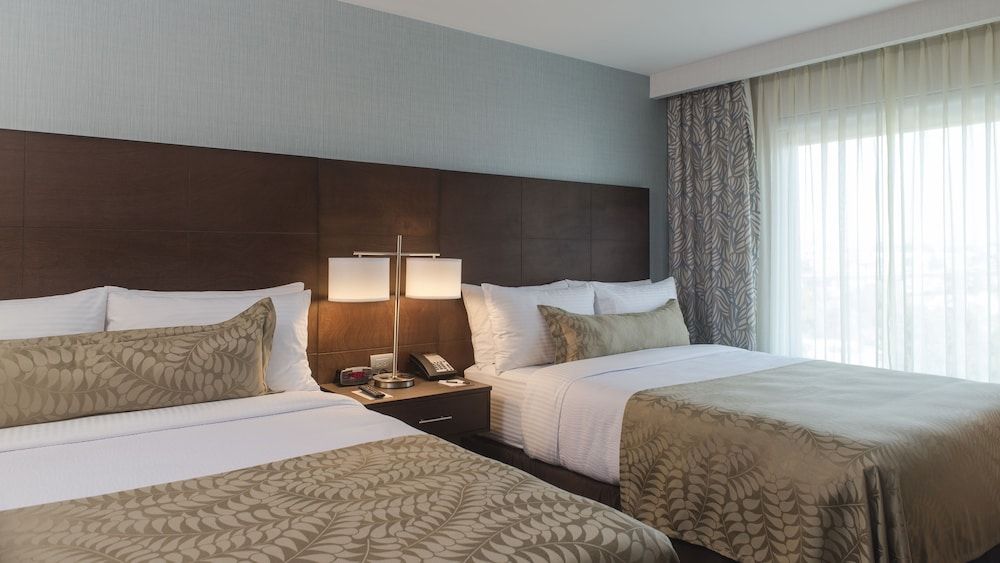 Suite, 1 Bedroom, Kitchen, Pool View