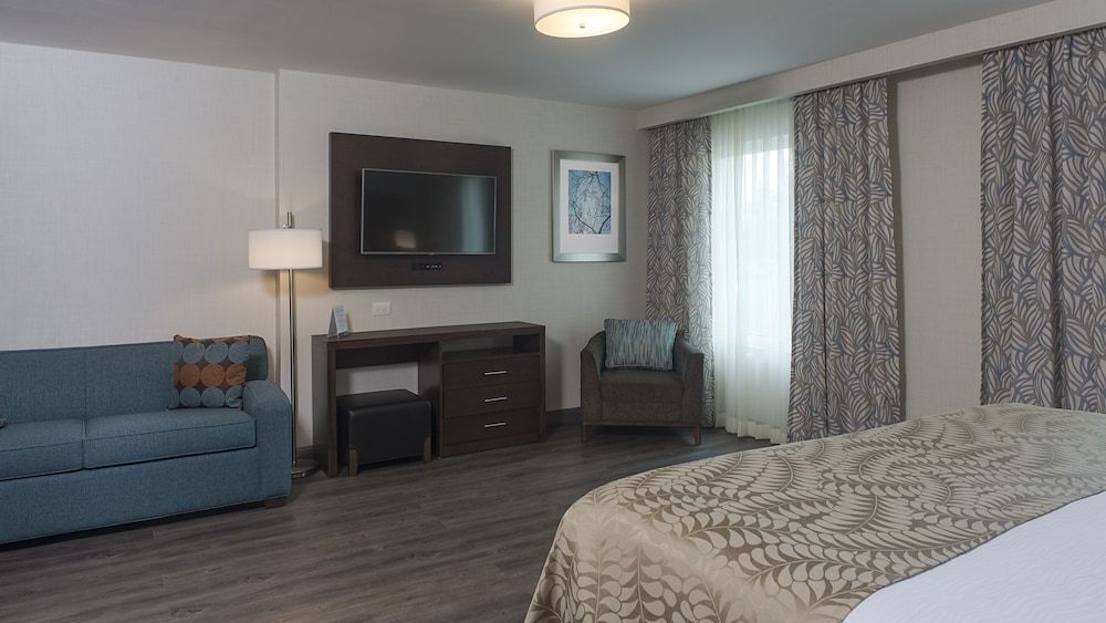Suite, 1 Bedroom, Kitchen