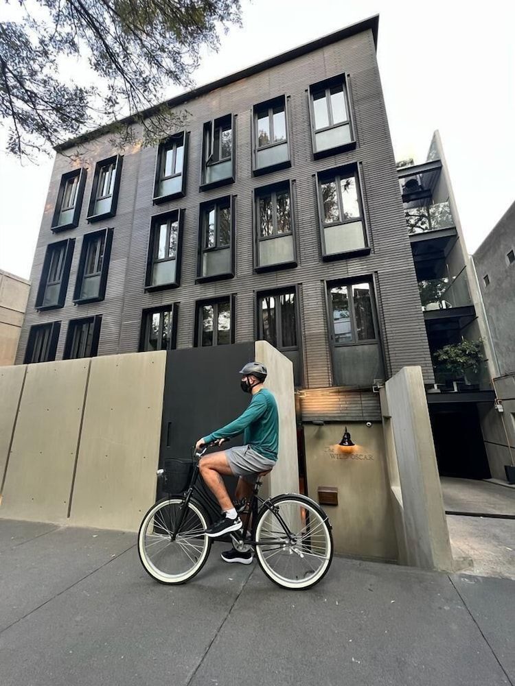 undefined The Wild Oscar 7