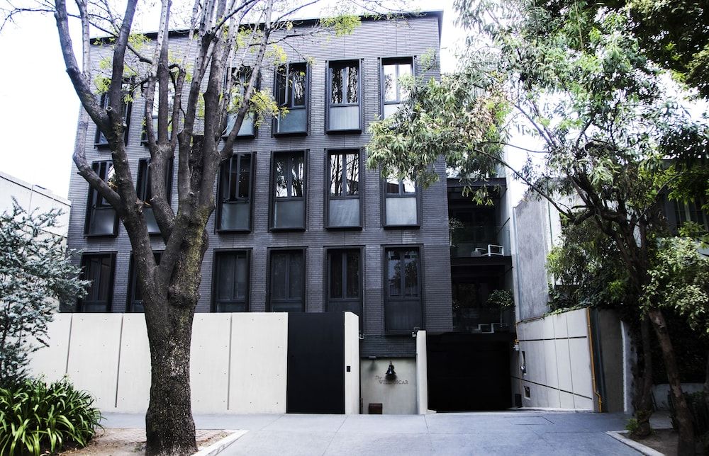 undefined The Wild Oscar 8