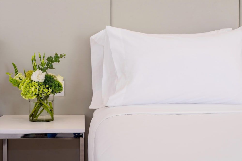 NH San Luis Potosi Standard Room (Extra Large) 5