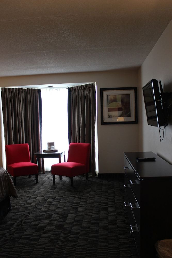 Ramada Plaza by Wyndham Niagara Falls Suite, 1 King Bed 3