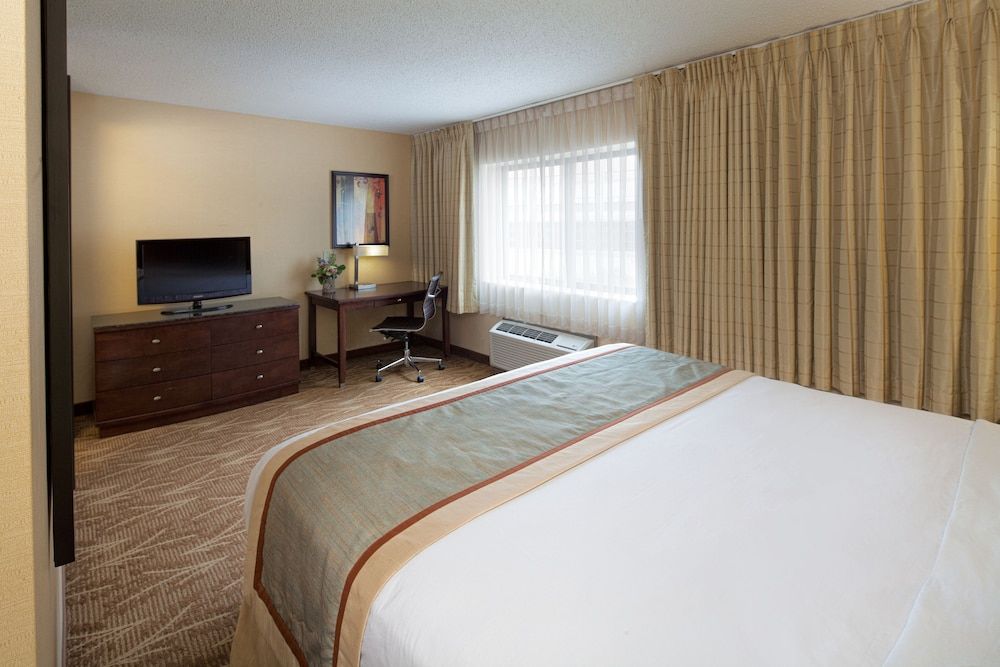 Room, 1 Queen Bed