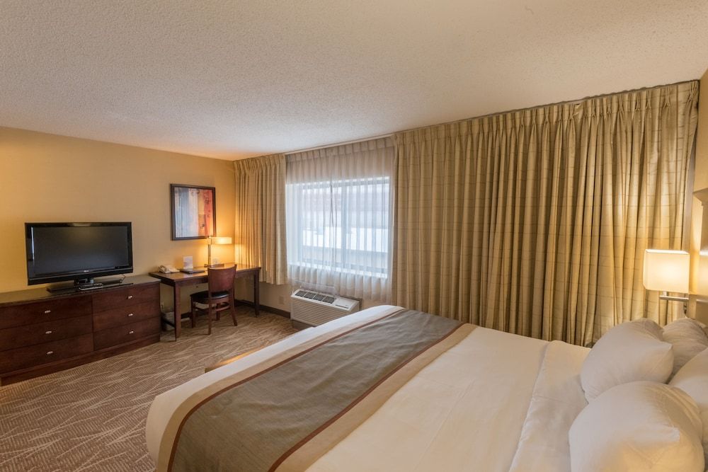 Room, 1 King Bed