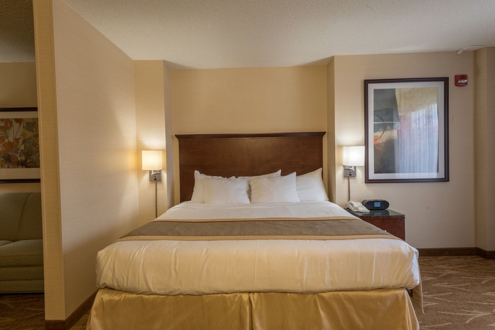 Suite, 1 King Bed