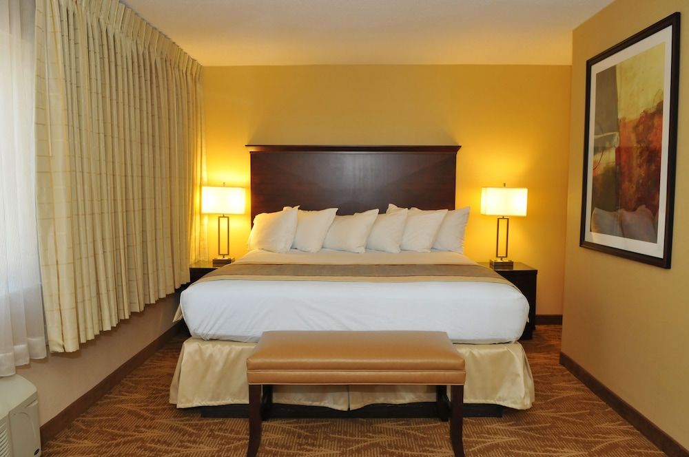 Suite, 1 King Bed