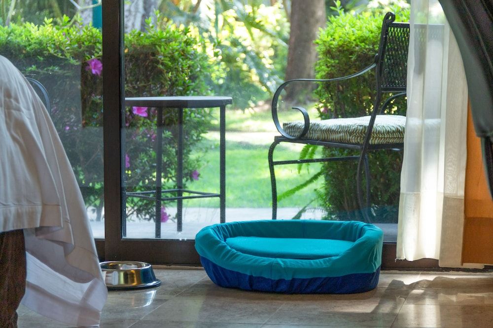 Standard Room, 1 King Bed (Dog Friendly)